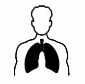 Pulmonology